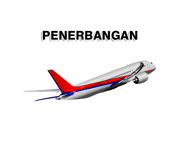Penerbangan